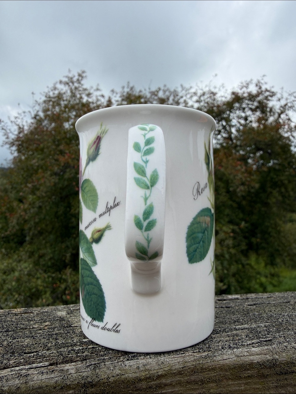 Roy Kirkham Redouté Roses Mug - Picture 2 of 9